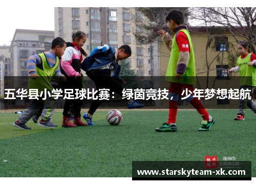 五华县小学足球比赛：绿茵竞技，少年梦想起航