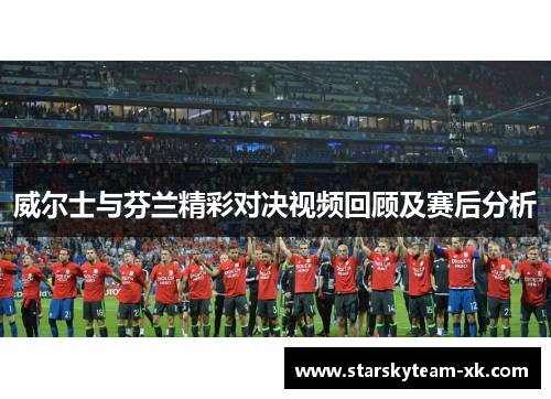 威尔士与芬兰精彩对决视频回顾及赛后分析
