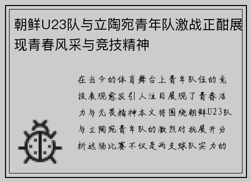朝鲜U23队与立陶宛青年队激战正酣展现青春风采与竞技精神