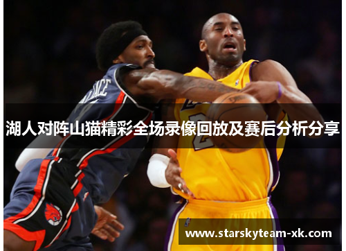 湖人对阵山猫精彩全场录像回放及赛后分析分享