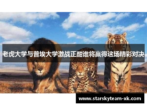 老虎大学与普埃大学激战正酣谁将赢得这场精彩对决